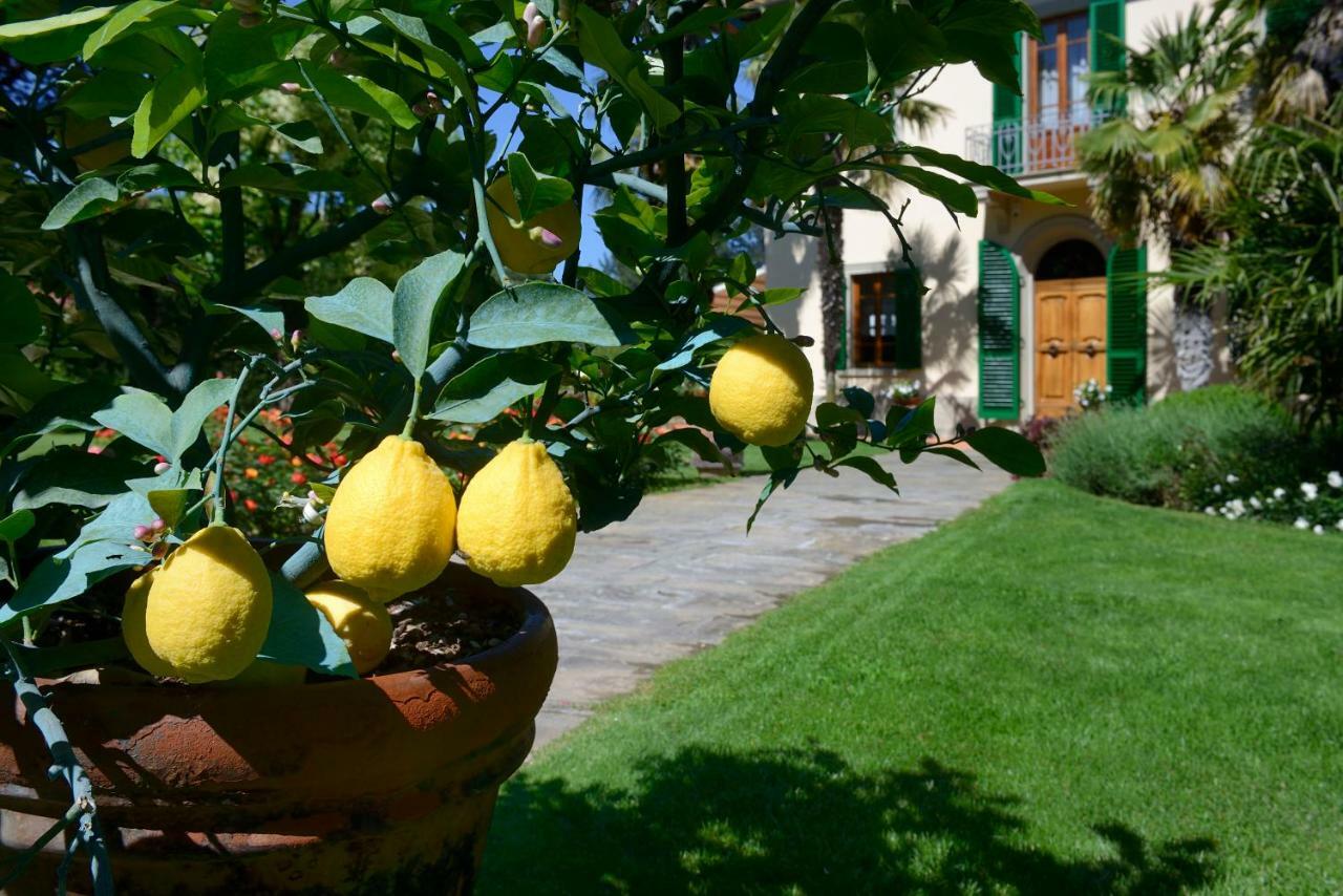 Villa Le Facezie B&B Terranuova Bracciolini Exterior photo